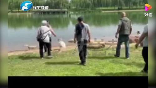 郑州七中爆料事件视频最新,真相与争议交织的教育漩涡 第3张 郑州七中爆料事件视频最新,真相与争议交织的教育漩涡 第3张