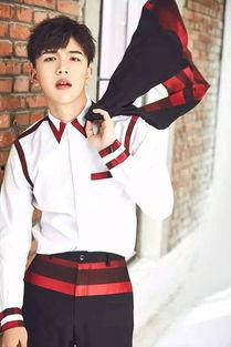 王振宇爆料完整版视频,事件真相与幕后黑幕 第2张 王振宇爆料完整版视频,事件真相与幕后黑幕 第2张